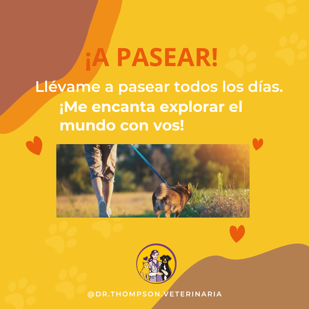 Dr. Thompson Veterinaria – Córdoba