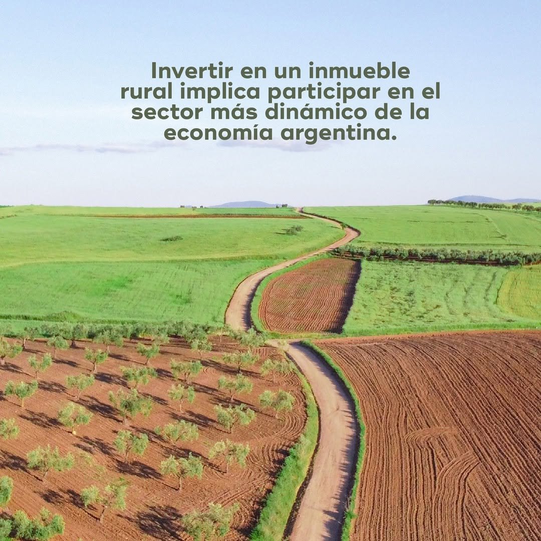 Tierra Fertil Inmobiliaria Rural