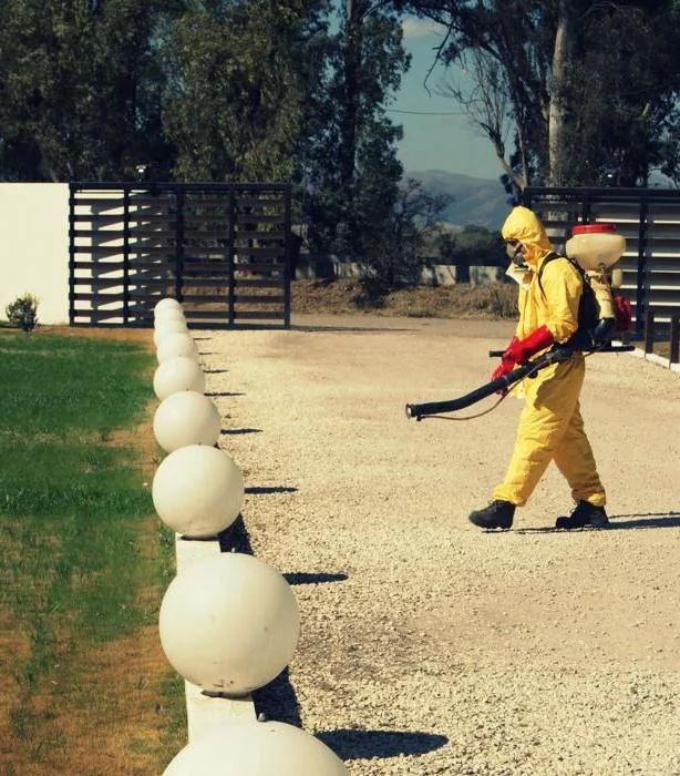 EMAD Plagas | Fumigación y Control de Plagas