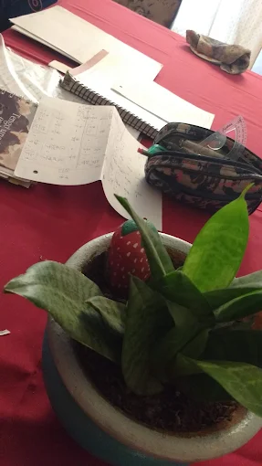 Apoyo Escolar Clases | Particulares Todos Podemos