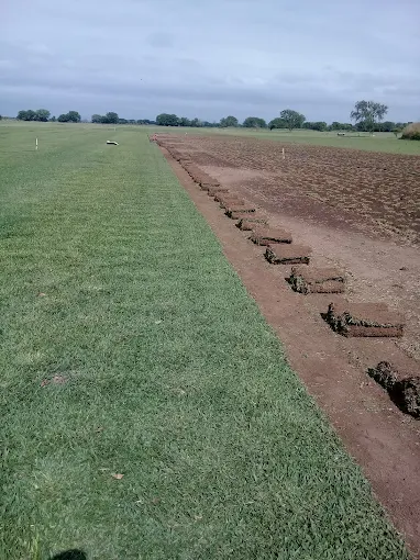 Parquizaciones Césped y Tierra Negra | jardinería