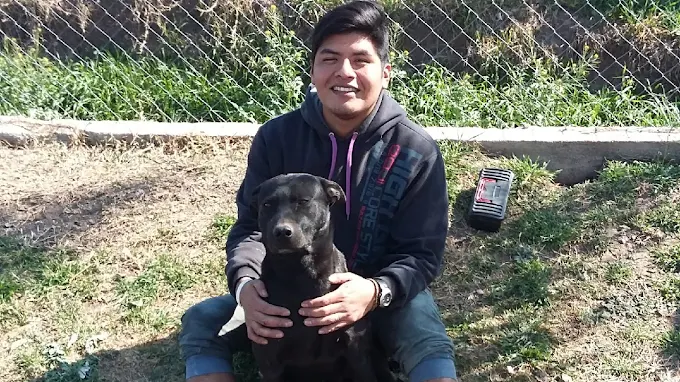 Electricista Matriculado | Instalaciones, Reparaciones y Certificaciones