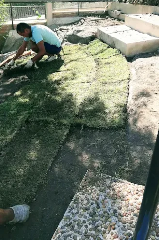 Carolina Landfried | Jardinera Paisajista en Córdoba