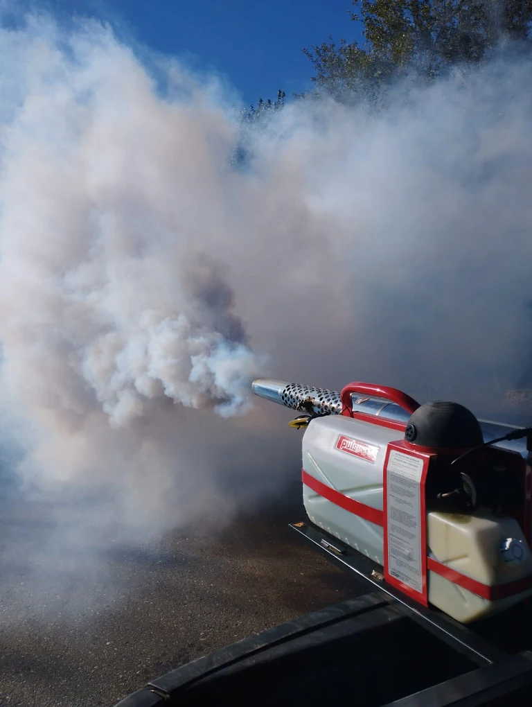 Mediterránea Desinfecciones | Control de Plagas