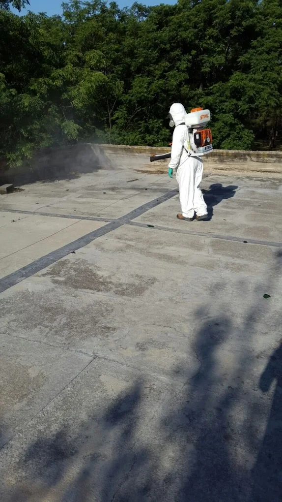 Desinfecciones Globales | Control de Plagas Urbanas en Córdoba