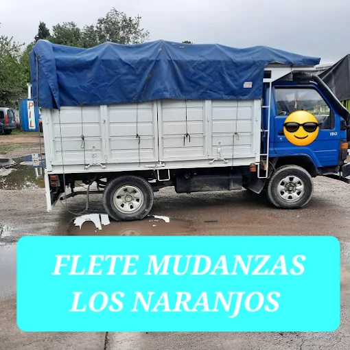 Fletes Mudanzas Los Naranjos | Córdoba y el País