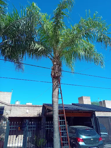 Parquizaciones José Torres | Mantenimiento y Realización