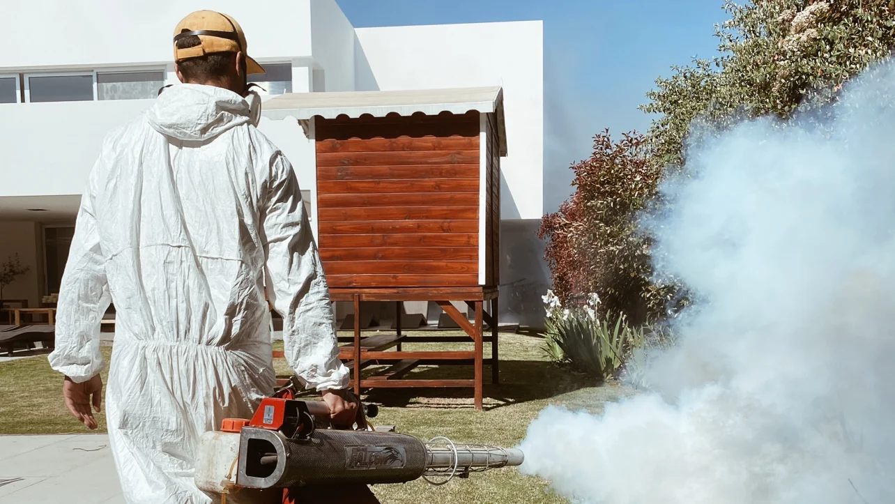 Eco Tecno | Control de Plagas, Desinfecciones y Fumigaciones