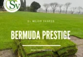 Siempre Verde Parquizaciones | y Venta de Césped