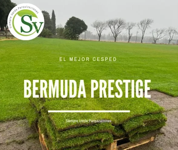 Siempre Verde Parquizaciones | y Venta  de Césped