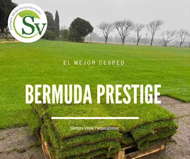 Siempre Verde Parquizaciones | y Venta de Césped