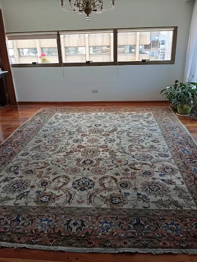 Carhouse40| Limpieza y Desinfección de Tapizados a Domicilio