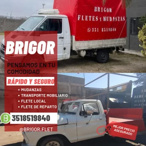 Brigor Fletes y Mudanzas | para Empresas, Guardamuebles