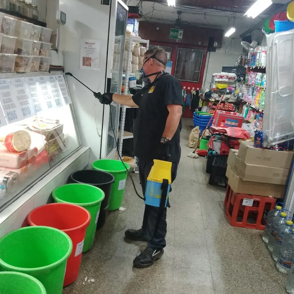 Audisio Fumigaciones | Control de Plagas y Desinfección