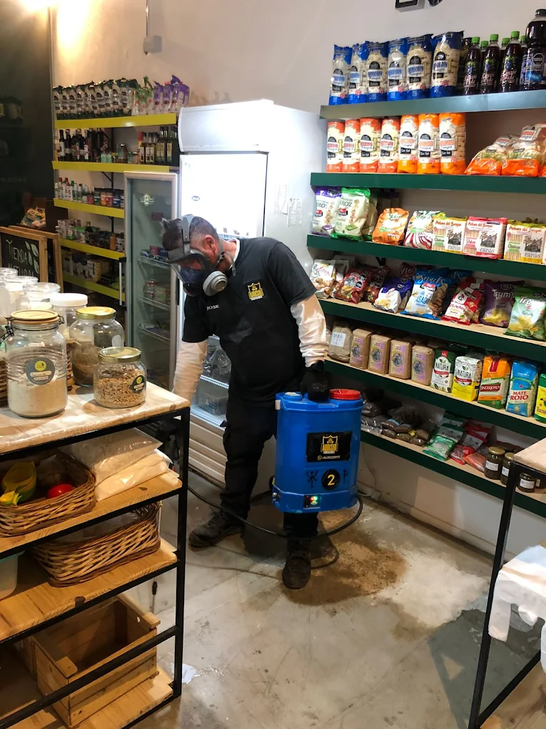 Audisio Fumigaciones | Control de Plagas y Desinfección