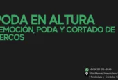 Poda en Altura y Cercos | Zonas Urbanas, Rurales y Públicas