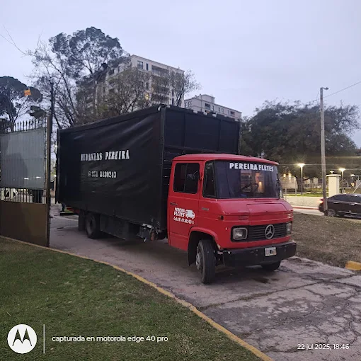 Mudanzas y Fletes Pereira | Servicio de Embalaje y Trabajo en Altura