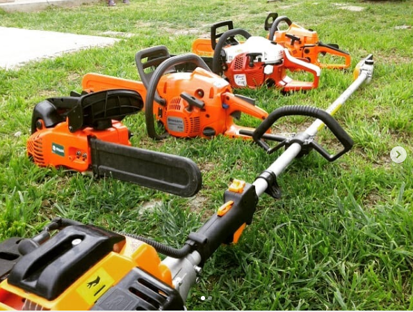 Jardinero Podador de Árboles | Poda y Extracción en Altura