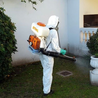 Desinfecciones Globales | Control de Plagas Urbanas en Córdoba
