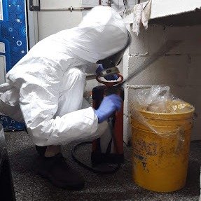 Desinfecciones Globales | Control de Plagas Urbanas en Córdoba