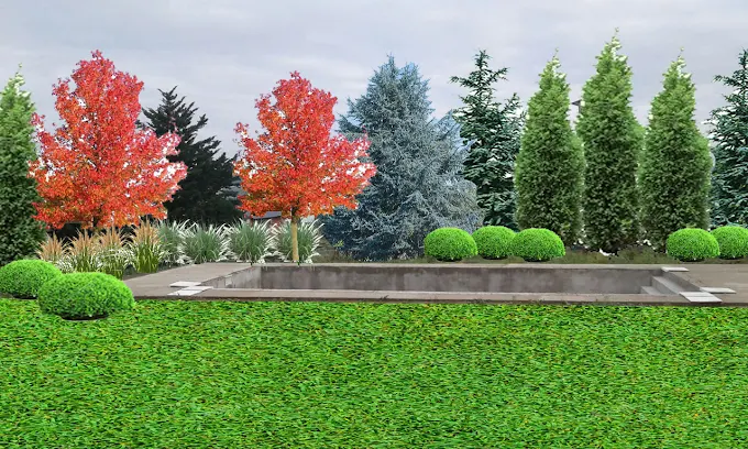 Paisa Espacios Verdes | Arquitecto Paisajista en Córdoba