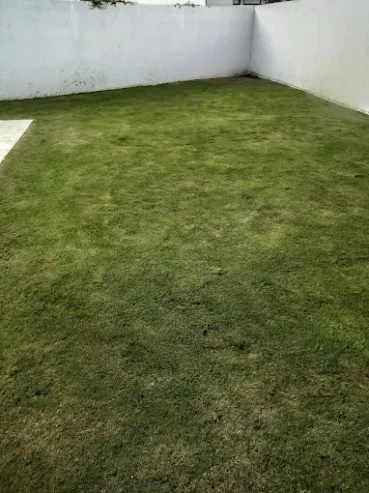 Parquizaciones y Jardines | en Córdoba