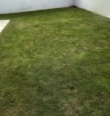 IMG_20210521_160732688