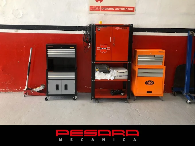 Pesara Mecánica | Taller de Mecánica Integral