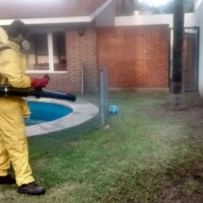 control-de-plagas-alacranes-cucarachas-18