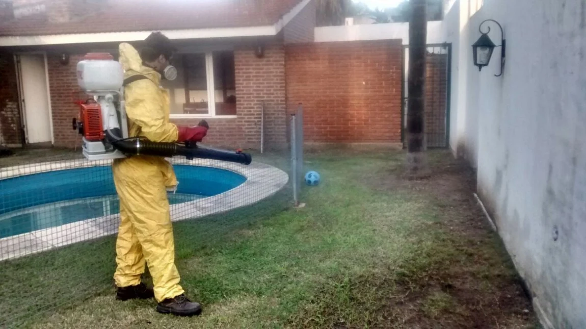 EMAD Plagas | Fumigación y Control de Plagas