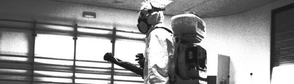 AT Desinfecciones | Desinsectación de Cucarachas Hormigas