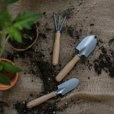 pexels-cottonbro-4503269