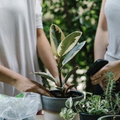 pexels-ketut-subiyanto-4132362