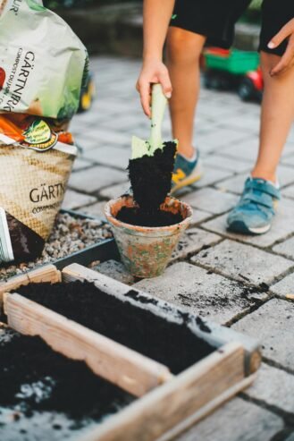 Cultivos del Sur | Servicio de Jardinería y Mantenimiento