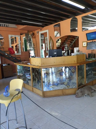 Vidrios Martínez Hnos. | Vidriería Templados y Obras Especiales