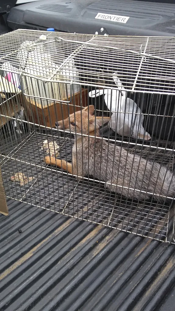 CIP Córdoba Desinfecciones | Control de Plagas