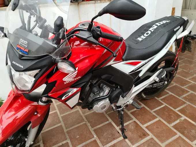 Tapi Luz | Insumos, Trabajos de Tapicería, Colocación de Toldos