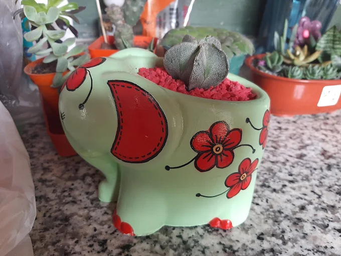 Vidriería Saldán | Soluciones en Vidrio