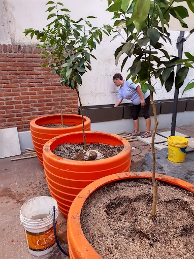 Jardineros Sin Fronteras | Servicio de Jardinería y Mantenimiento