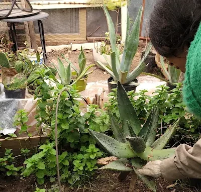 unnamed-2025-08-18T185732.678