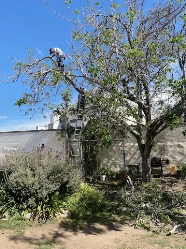 Bien Plantado Córdoba | Desarrollo y Ejecución de Parques y Jardines