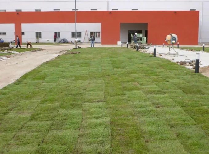 ProGarden | Diseño y Parquización de Espacios Verdes