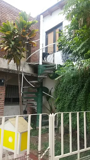 Apoyo Escolar | Secundario, Ingresos UNC, UTN, Fuerza Aérea