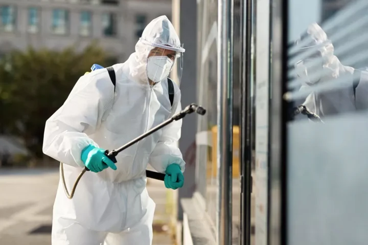 Fumivet | Fumigación y Control de Plagas en Córdoba
