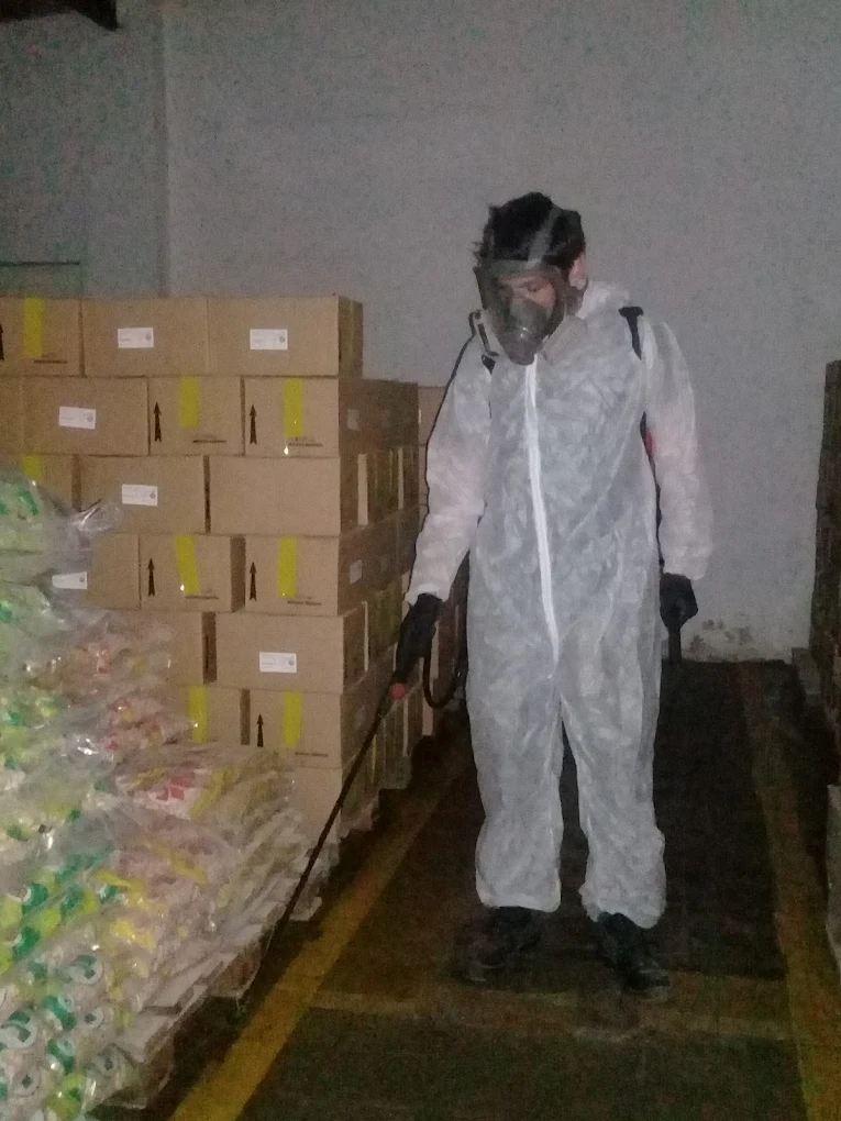 Dar Sanidad | Fumigación y Control de Plagas en Córdoba