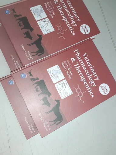 Rocky Gráfica | Reproducción de Documentos, Impresión Digital y Gráfica