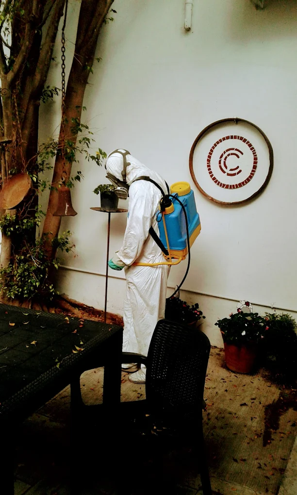 Desinfecciones Integrales Córdoba | de Plagas y Desinfecciones