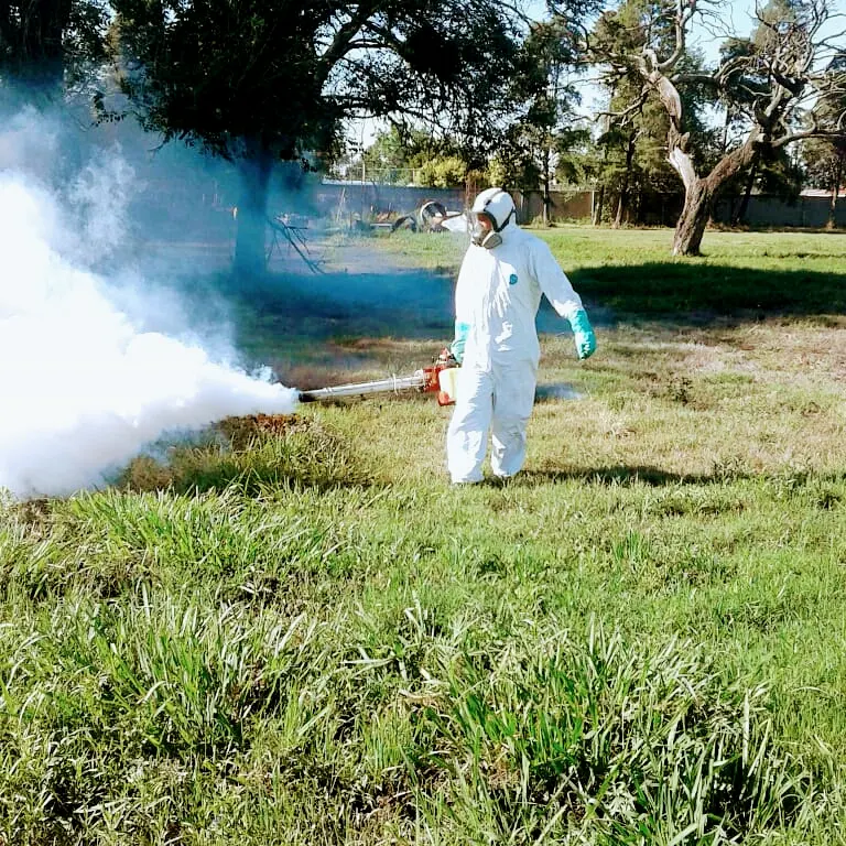 Desinfecciones Integrales Córdoba | de Plagas y Desinfecciones