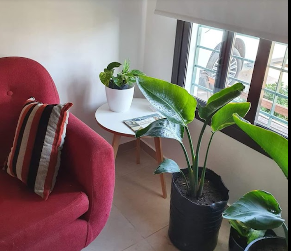 Flavia Cerutti | Psicóloga con Terapia Cognitivo Conductual para Ansiedad, Depresión, Pánico, TOC y Estrés