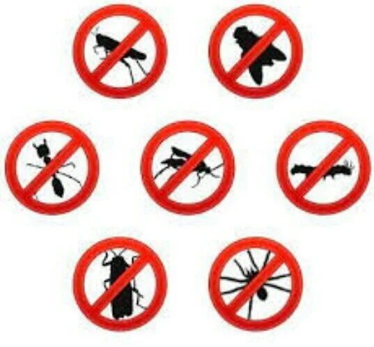 Dar Sanidad | Fumigación y Control de Plagas en Córdoba